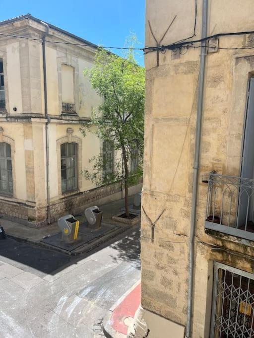 Cocon Ecusson Montpellier Apartment Exterior foto
